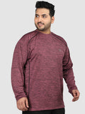 Men's Plus Size Full Sleeves Regular Dry Fit Sports T-Shirt