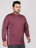 Men's Plus Size Full Sleeves Regular Dry Fit Sports T-Shirt