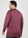 Men's Plus Size Full Sleeves Regular Dry Fit Sports T-Shirt