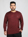 Men's Plus Size Full Sleeves Regular Dry Fit Sports T-Shirt