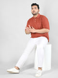 Men Regular Fit Half Sleeve Polo T Shirt